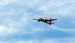 photo thumbnail #14