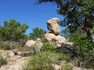 photo thumbnail #14