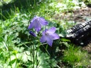 photo thumbnail #3