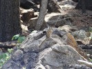 photo thumbnail #8