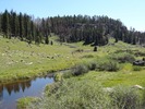 photo thumbnail #13