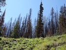 photo thumbnail #14