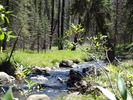 photo thumbnail #15