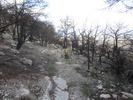 photo thumbnail #6