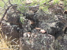 photo thumbnail #6