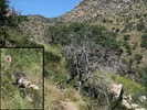 photo thumbnail #7