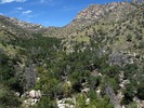 photo thumbnail #8