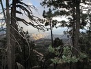 photo thumbnail #12