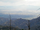 photo thumbnail #10