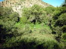 photo thumbnail #3