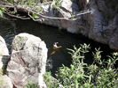 photo thumbnail #12