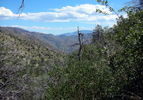 photo thumbnail #15