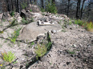 photo thumbnail #4