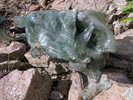 photo thumbnail #7