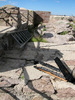 photo thumbnail #9