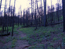 photo thumbnail #7