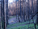 photo thumbnail #8