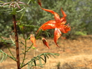 photo thumbnail #4