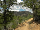 photo thumbnail #7