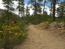 photo thumbnail #10