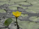 photo thumbnail #15