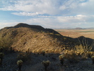 photo thumbnail #7