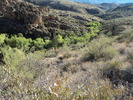 photo thumbnail #6