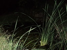 Featured Detail Photo