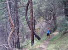 photo thumbnail #12