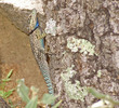 photo thumbnail #14