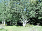 photo thumbnail #1