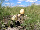 photo thumbnail #8