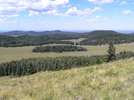 photo thumbnail #12