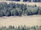 photo thumbnail #13