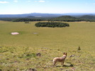 photo thumbnail #14