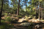 photo thumbnail #6