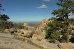 photo thumbnail #9