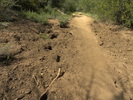 photo thumbnail #14