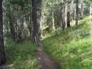 photo thumbnail #1