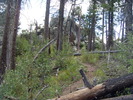 photo thumbnail #5