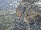 photo thumbnail #12