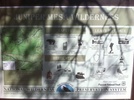 photo thumbnail #8
