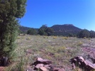 photo thumbnail #15