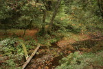photo thumbnail #9