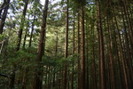 photo thumbnail #13