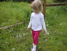 photo thumbnail #4