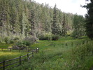 photo thumbnail #6