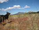 photo thumbnail #7