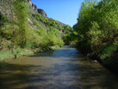 photo thumbnail #2