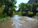 photo thumbnail #4